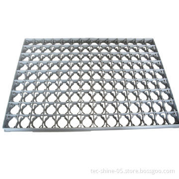 Plastic Injection Mold for Egg Tray